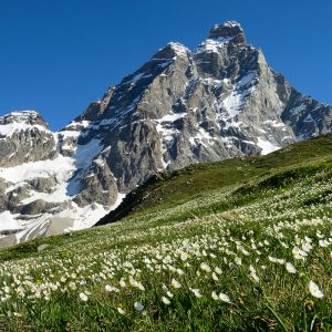 Escursioni in montagna: tutti i consigli per fare trekking in sicurezza