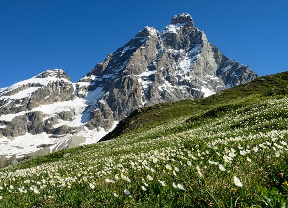 Escursioni in montagna: tutti i consigli per fare trekking in sicurezza Escursioni in montagna: tutti i consigli per fare trekking in sicurezza