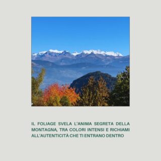 C'è un mese in cui la Valle d'Aosta svela il suo lato più intimo, quasi sussurrato. Ottobre.È qui, in questo "Posto del Cuore", che le montagne si tingono di un'intensità quasi mistica, dove il rosso fuoco e l'oro antico del foliage trasformano ogni bosco in una scenografia da fiaba. E poi c'è quel piccolo santuario incastonato nella roccia, un simbolo di pace e resilienza che emerge quasi dal nulla.È il richiamo di un'autenticità che si nasconde nei dettagli: nel fruscio delle foglie sotto i piedi, nel silenzio interrotto solo dal vento, nelle vedute mozzafiato che ti rubano il fiato e ti lasciano un'emozione profonda.Non è solo un paesaggio, è un'esperienza che ti entra dentro, un rifugio per l'anima che solo qui puoi trovare. ✨Qual è il dettaglio che, in questo periodo, accende il vostro "posto del cuore" in montagna? Condividetelo nei commenti! 👇🏡 #maisodutatà💙 #accoglienzasicura 🏡🏡🏡🏡🏡#ilpostodelcuore #ottobrevaldostano #autunnointenso #richiamodellamontagna #atmosferamagica #foliagevalledaosta #sentieridellanima #scoperteemozionali #vivereautentico #segretidimontagna #valledaostadaamare #paceeintrospezione #esplorarelanatura #viaggiointeriore #montagnadiemozioni #angolisegreti #bellezzaautunnale #respirare #paesaggiincantati