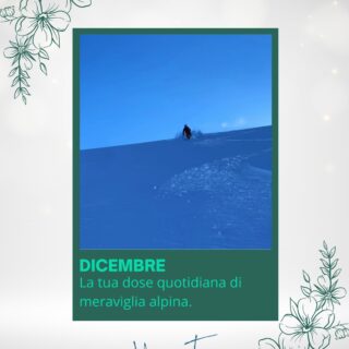 Dicembre in Valle d'Aosta: Quando la montagna si prepara alla sua festa più luminosa! ✨Come a Novembre vi avevamo promesso una metamorfosi, a Dicembre vi diamo il benvenuto nella versione più scintillante e avvolgente della nostra valle.Le valli si illuminano con mille luci sfavillanti e l'aria frizzante profuma intensamente di festa. Non farti raccontare la magia del Natale in montagna: vivila sulla tua pelle! Ti aspettiamo in Valle d'Aosta per rendere questo Dicembre assolutamente indimenticabile.Il paesaggio si è vestito di bianco, ma il calore che troverai all'interno è ancora più intenso. Scegli di vivere l'attesa del Natale tra panorami mozzafiato, tradizioni autentiche e l'intimità assoluta dei nostri appartamenti.Vivi un'esperienza che nutre l'anima e scalda il cuore.Ti aspettiamo👉 Scrivici in DM per conoscere la disponibilità per il periodo natalizio!🏡 #maisondutatà💙 #accoglienzasicura🏡🏡🏡🏡🏡#valledaosta #aostavalley #dicembreinmontagna #invernoinvda #nataleinmontagna #vacanzesullaneve #panoramiinnevati #magiadelnatale #montagnainvernale #chaletlife #neve #visitvalledaosta #appartamentivda