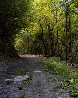 𝐔𝐧𝐚 𝐝𝐨𝐦𝐚𝐧𝐝𝐚 𝐜𝐡𝐞 𝐦𝐢 𝐟𝐚𝐜𝐞𝐯𝐨 𝐬𝐩𝐞𝐬𝐬𝐨 𝐚𝐥𝐥’𝐢𝐧𝐢𝐳𝐢𝐨 𝐞𝐫𝐚:“𝐶𝑜𝑠𝑎 𝑓𝑎𝑟𝑎𝑛𝑛𝑜 𝑞𝑢𝑖 𝑡𝑢𝑡𝑡𝑜 𝑖𝑙 𝑔𝑖𝑜𝑟𝑛𝑜?”Perché ci sembrava rischiosonon avere un programma da proporre.Non avere un elenco di esperienze da offrire.Faceva quasi paura.Poi ho capito una cosa.Stare fermi non è un problema da risolvere.Il tempo senza programma non è tempo sprecato.E così abbiamo scelto.Questo non è un posto “da fare”.Ecco cosa NON troverai qui:– Un programma già scritto– Un elenco da spuntare– L’urgenza di riempire ogni ora– L’idea che fermarsi sia tempo persoCosa troverai invece?Spazio.Silenzio.Libertà.Il permesso di non fare nulla.Qui non aggiungi.Qui togli.Togli la frenesia.Togli le aspettative.E forse è proprio per questo che chi arriva, poi ritorna.Non per quello che facciamo.Ma per quello che lasciamo che tu non faccia.𝑺𝒆 𝒔𝒆𝒏𝒕𝒊 𝒄𝒉𝒆 𝒆̀ 𝒊𝒍 𝒎𝒐𝒎𝒆𝒏𝒕𝒐 𝒅𝒊 𝒔𝒄𝒆𝒈𝒍𝒊𝒆𝒓𝒆 𝒅𝒊 𝒕𝒐𝒈𝒍𝒊𝒆𝒓𝒆, 𝒔𝒄𝒓𝒊𝒗𝒊𝒎𝒊.#maisondutatà #accoglienzaautentica #casacheaccoglie #tempocheresta #valledaosta