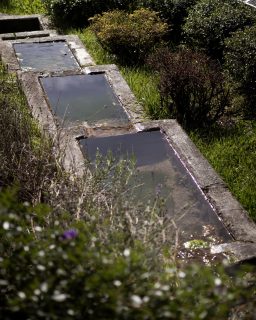 All&rsquo;inizio guardavo tutto.La casa, gli oggetti,i dettagli.Poi, piano, ho smesso.Mio figlio era fuori.Giocava.Io ero l&igrave;, seduto.Senza fare molto.Ed era giusto cos&igrave;.Non &egrave; successo niente di speciale.Solo che, per un momento,non avevo bisogno di altro.#maisondutat&agrave; #storiediluoghi #viaggiarediverso #famigliainviaggio #ritmidiversi#slowfamily #esperienzautentica #luoghidellanima #travelwithkids #intentionaltravel #slowliving #valledaostaexperience