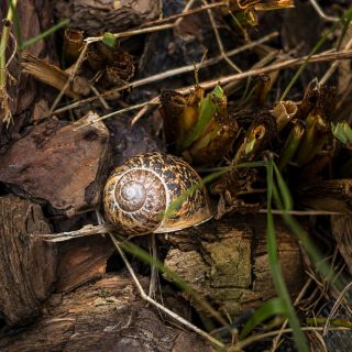𝐀 𝐮𝐧 𝐜𝐞𝐫𝐭𝐨 𝐩𝐮𝐧𝐭𝐨 𝐥𝐨 𝐜𝐚𝐩𝐢𝐬𝐜𝐢.Non è questione di giorni liberi.Non è nemmeno questione di luogo.È quel momento in cui sentiche hai bisogno di fermarti davvero.E lì succede una cosa semplice:smetti di rimandare.Alcune pause non si organizzano.Si scelgono.𝑺𝒆 𝒔𝒆𝒏𝒕𝒊 𝒄𝒉𝒆 𝒆̀ 𝒒𝒖𝒆𝒍 𝒎𝒐𝒎𝒆𝒏𝒕𝒐,𝒔𝒄𝒓𝒊𝒗𝒊𝒎𝒊.#maisondutata #slowlivingitalia #pauselente #turismoconsapevole #luoghidellanima #fermarsidavvero #tempolento #respirare #silenzio#dettaglinaturali #naturaquotidiana #piccolecose #sguardolento#slowtravel #natureloversitalia #igersitalia #visititaly