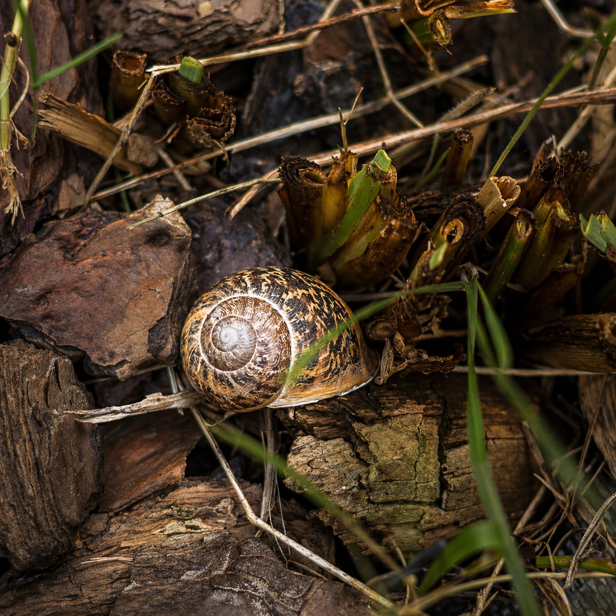 𝐀 𝐮𝐧 𝐜𝐞𝐫𝐭𝐨 𝐩𝐮𝐧𝐭𝐨 𝐥𝐨 𝐜𝐚𝐩𝐢𝐬𝐜𝐢.Non è questione di giorni liberi.Non è nemmeno questione di luogo.È quel momento in cui sentiche hai bisogno di fermarti davvero.E lì succede una cosa semplice:smetti di rimandare.Alcune pause non si organizzano.Si scelgono.𝑺𝒆 𝒔𝒆𝒏𝒕𝒊 𝒄𝒉𝒆 𝒆̀ 𝒒𝒖𝒆𝒍 𝒎𝒐𝒎𝒆𝒏𝒕𝒐,𝒔𝒄𝒓𝒊𝒗𝒊𝒎𝒊.#maisondutata #slowlivingitalia #pauselente #turismoconsapevole #luoghidellanima #fermarsidavvero #tempolento #respirare #silenzio#dettaglinaturali #naturaquotidiana #piccolecose #sguardolento#slowtravel #natureloversitalia #igersitalia #visititaly