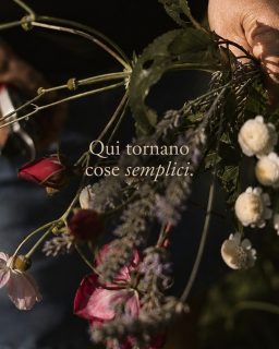 𝐋𝐞 𝐜𝐨𝐬𝐞 𝐢𝐦𝐩𝐨𝐫𝐭𝐚𝐧𝐭𝐢 𝐧𝐨𝐧 𝐟𝐚𝐧𝐧𝐨 𝐫𝐮𝐦𝐨𝐫𝐞.A volte pensiamo di avere bisogno di partire lontano.Poi arrivano giorni in cui basta poco:camminare nel bosco senza meta,sentire il profumo del legno la sera,fare colazione lentamente,restare fuori ancora cinque minuti perché l’aria è fresca.Sono cose piccole.Ma quando tornano,ci accorgiamo di quanto ci erano mancate.A Maison du Tatà succede spesso così.Non perché facciamo qualcosa di straordinario.Forse perché qui c’è ancora spazio per sentire.𝐼𝑙 𝑣𝑒𝑟𝑜 𝑙𝑢𝑠𝑠𝑜 𝑒̀ 𝑎𝑐𝑐𝑜𝑟𝑔𝑒𝑟𝑠𝑖 𝑑𝑖 𝑠𝑡𝑎𝑟𝑒 𝑏𝑒𝑛𝑒 𝑠𝑒𝑛𝑧𝑎 𝑑𝑜𝑣𝑒𝑟𝑙𝑜 𝑠𝑝𝑖𝑒𝑔𝑎𝑟𝑒.𝑸𝒖𝒂𝒍 𝒆̀ 𝒍𝒂 𝒄𝒐𝒔𝒂 𝒔𝒆𝒎𝒑𝒍𝒊𝒄𝒆 𝒄𝒉𝒆 𝒕𝒊 𝒎𝒂𝒏𝒄𝒂 𝒅𝒊 𝒑𝒊𝒖̀ 𝒖𝒍𝒕𝒊𝒎𝒂𝒎𝒆𝒏𝒕𝒆?#maisondutatà #valledaosta #anteysaintandré #slowliving #rallentare #vitalenta #bosco#camminare #casecheaccolgono #lussodiscreto #ospitalitàautentica #turismolento#tempopersé #giardinoinfiore #ritornoallecosesempliciQual è la cosa semplice che ti manca di più ultimamente?