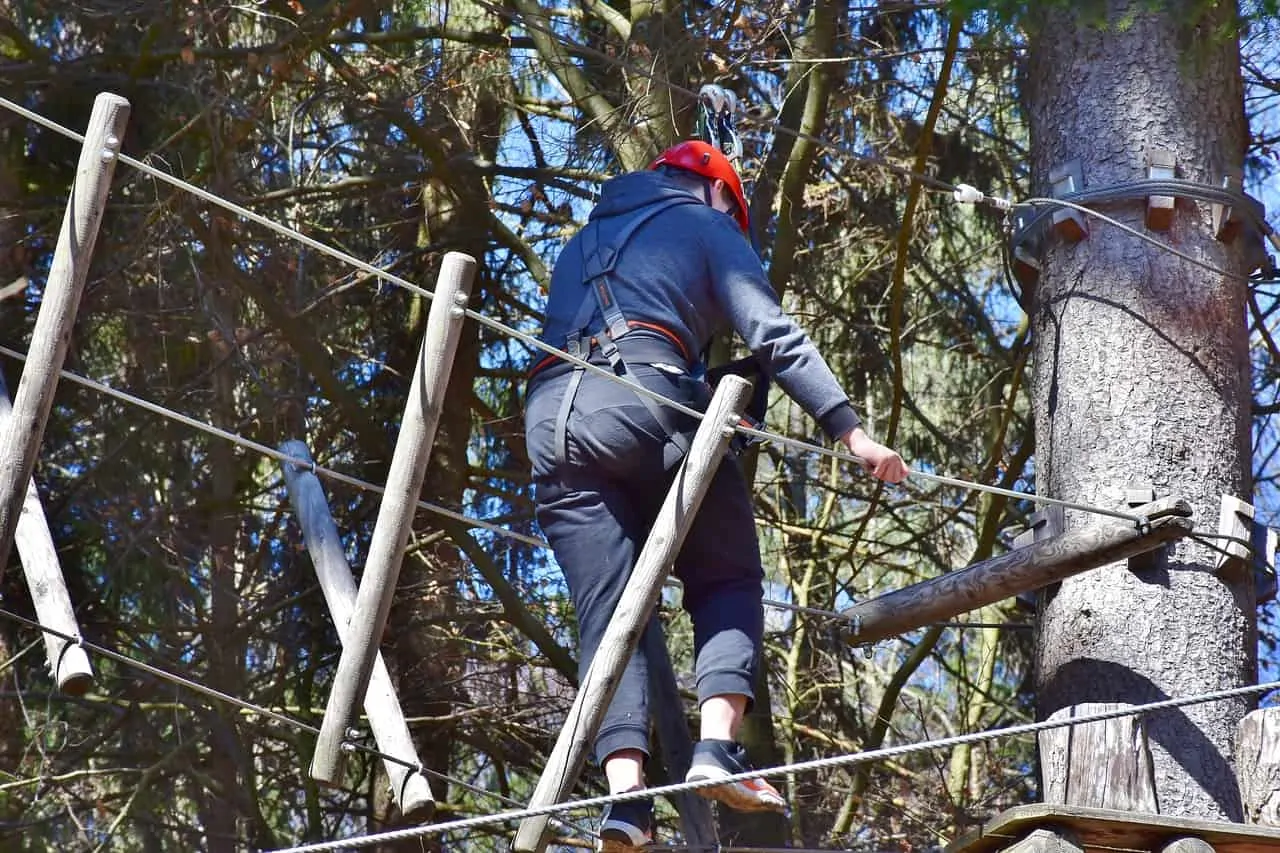 tree climbing