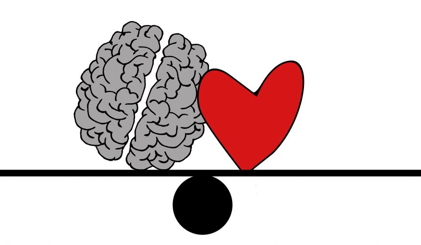 cuore e cervello