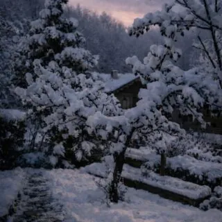 𝗔𝗹𝗹’𝗮𝗹𝗯𝗮, 𝗹𝗮 𝗻𝗲𝘃𝗲 𝗻𝗼𝗻 𝗳𝗮 𝗿𝘂𝗺𝗼𝗿𝗲.Il giardino si sveglia piano.I rami tengono il bianco senza chiedere nulla.La casa osserva, in silenzio.Ci sono mattine che non iniziano.Restano.𝑄𝑢𝑖 𝑖𝑙 𝑔𝑖𝑜𝑟𝑛𝑜 𝑛𝑜𝑛 𝑐𝑜𝑟𝑟𝑒.𝑆𝑖 𝑎𝑝𝑝𝑜𝑔𝑔𝑖𝑎.𝗧𝗶 𝗽𝗶𝗮𝗰𝗲 𝗹’𝗮𝗹𝗯𝗮 𝗼 𝗶𝗹 𝗰𝗿𝗲𝗽𝘂𝘀𝗰𝗼𝗹𝗼?Scrivicelo piano.#MaisonDuTatà #InvernoLento #AlbaInMontagna #ViverePiano #SilenzioCheAccoglie #CasaInMontagna #ValleDAostaAutentica #Rallentare