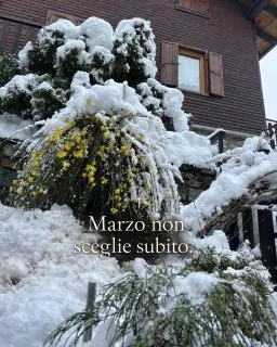 𝐌𝐚𝐫𝐳𝐨 𝐢𝐧 𝐦𝐨𝐧𝐭𝐚𝐠𝐧𝐚 𝐧𝐨𝐧 𝐬𝐞𝐦𝐩𝐫𝐞 𝐬𝐚 𝐜𝐨𝐬𝐚 𝐯𝐮𝐨𝐥𝐞 𝐞𝐬𝐬𝐞𝐫𝐞.𝑄𝑢𝑒𝑠𝑡𝑎 𝑚𝑎𝑡𝑡𝑖𝑛𝑎 𝑐𝑖 𝑠𝑖𝑎𝑚𝑜 𝑠𝑣𝑒𝑔𝑙𝑖𝑎𝑡𝑖 𝑐𝑜𝑠𝑖̀.Il giardino di nuovo bianco.Gli alberi pieni di neve.Il silenzio che torna per qualche ora.E in mezzo, i primi fiori.Marzo qui non è una linea retta.È un passaggio.Un giorno l’aria cambia.Il giorno dopo l’inverno torna a salutare.La montagna non ha fretta di diventare primavera.E forse è proprio questo il suo modo di insegnarci qualcosa.Non tutto deve cambiare subito.A volte basta sentire che qualcosa si sta muovendo.𝑻𝒖 𝒄𝒐𝒎𝒆 𝒊𝒎𝒎𝒂𝒈𝒊𝒏𝒊 𝒎𝒂𝒓𝒛𝒐 𝒊𝒏 𝒎𝒐𝒏𝒕𝒂𝒈𝒏𝒂?𝑷𝒊𝒖̀ 𝒊𝒏𝒗𝒆𝒓𝒏𝒐 𝒐 𝒈𝒊𝒂̀ 𝒑𝒓𝒊𝒎𝒂𝒗𝒆𝒓𝒂?#MaisonDuTatà #ValleDAosta #AostaValley #AnteySaintAndré #MontagnaVera#MontagnaItaliana #VivereLaMontagna #RespiraLaMontagna #Tempolento #RitmiLenti #SlowLivingItaly #SlowTravelItaly #LuoghiDellAnima #LussoDiscreto