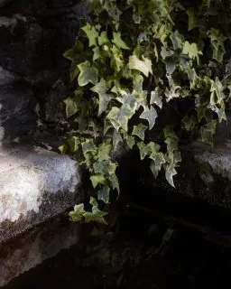 𝐀𝐥𝐥’𝐢𝐧𝐢𝐳𝐢𝐨 𝐩𝐞𝐧𝐬𝐚𝐯𝐨 𝐜𝐡𝐞 𝐥𝐞 𝐩𝐞𝐫𝐬𝐨𝐧𝐞 𝐯𝐞𝐧𝐢𝐬𝐬𝐞𝐫𝐨 𝐪𝐮𝐢 𝐩𝐞𝐫 𝐥𝐚 𝐦𝐨𝐧𝐭𝐚𝐠𝐧𝐚.Poi ho capito che venivano per altro.Perché qui nessuno chiede di essere brillanti.Nessuno chiede di riempire il tempo.Ho visto ospiti arrivare stanchie andare via più leggeri.Non perché avessero fatto qualcosa di speciale.Ma perché avevano smesso, rallentato…Marzo, per me, è sempre stato questo:un mese in cui si impara a lasciare andare l’inverno.Anche dentro.𝑻𝒖 𝒍𝒐 𝒔𝒆𝒏𝒕𝒊 𝒈𝒊𝒂̀ 𝒒𝒖𝒆𝒔𝒕𝒐 𝒑𝒂𝒔𝒔𝒂𝒈𝒈𝒊𝒐?#MaisonDuTatà #MaisonDuTata #ValleDAosta #AostaValley #AnteySaintAndre#Tempolento #RitmiLenti #SlowLivingItaly #SlowTravelItaly #LussoDiscreto#MontagnaVera #MontagnaItaliana #VivereLaMontagna #RespiraLaMontagna#LuoghiDellAnima #Rallentare #Respirare