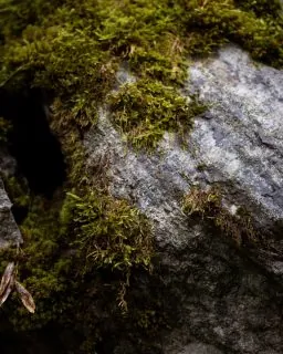 𝐔𝐋𝐓𝐈𝐌𝐎 𝐖𝐄𝐄𝐊𝐄𝐍𝐃 𝐃𝐈 𝐌𝐀𝐑𝐙𝐎è rimasto un solo appartamento.Succede sempre così.All’inizio del mese pensi:“𝑝𝑟𝑖𝑚𝑎 𝑜 𝑝𝑜𝑖 𝑚𝑖 𝑓𝑒𝑟𝑚𝑜.”Poi le giornate passano.E quando ci pensi davvero,spesso è già tardi.Questo weekend (27–28–29 marzo)è l’ultimo prima di Pasqua.E qui, in questi giorni, succede una cosa semplice:🌸 i primi fiori iniziano a farsi vedere🌡️ la luce resta un po’ più a lungo🥾 i sentieri tornano ad aprirsiE dentro casa,non succede niente di programmato.Solo tempo che si allarga.𝑺𝒆 𝒔𝒆𝒏𝒕𝒊 𝒄𝒉𝒆 𝒆̀ 𝒊𝒍 𝒎𝒐𝒎𝒆𝒏𝒕𝒐 𝒈𝒊𝒖𝒔𝒕𝒐,📩 𝒔𝒄𝒓𝒊𝒗𝒊𝒎𝒊.#MaisonDuTatà #UltimoWeekend #WeekendLento #ValleDAosta #MontagnaCheAccoglie #RiposoVero #TempoPerTe #RallentareQui