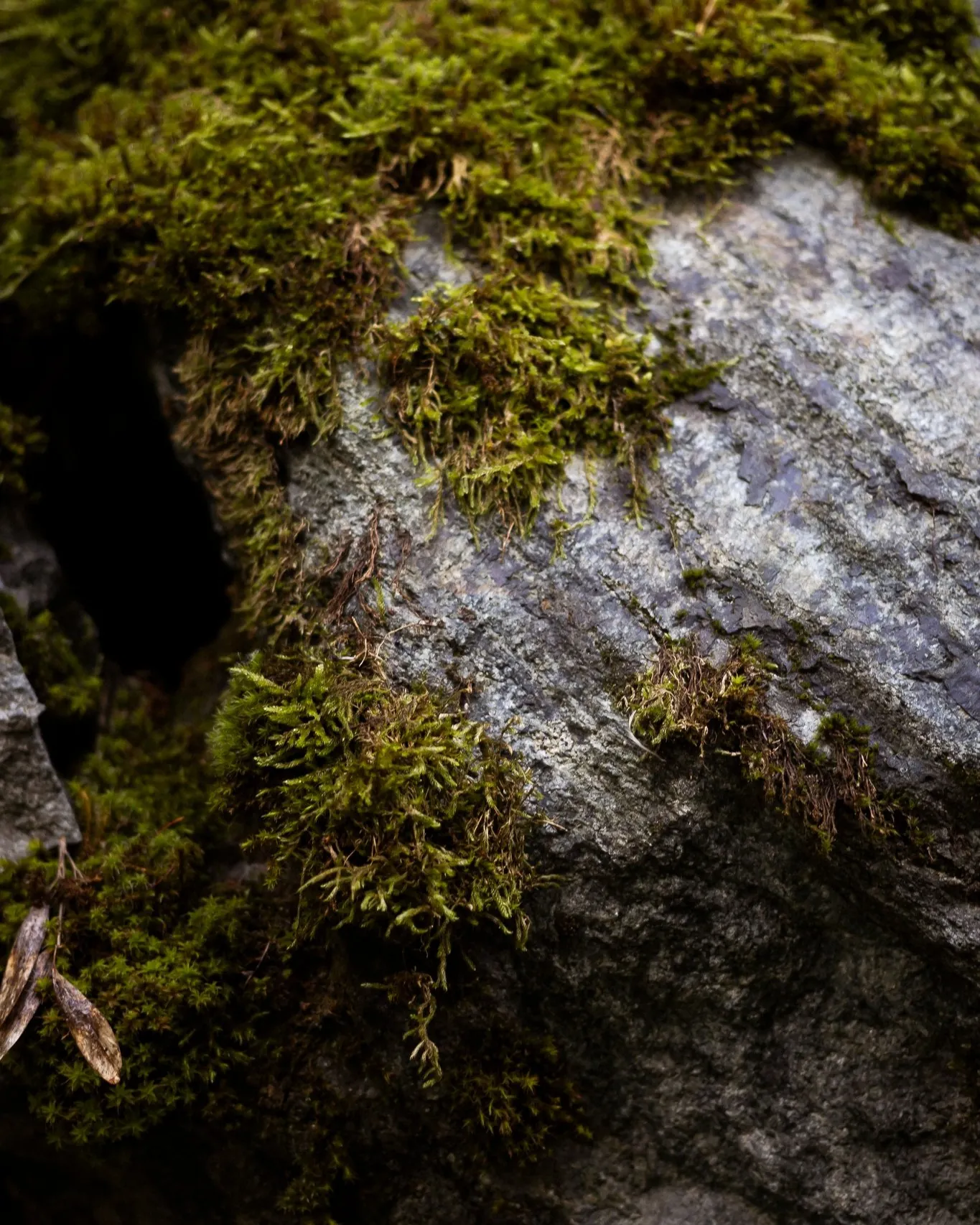 𝐔𝐋𝐓𝐈𝐌𝐎 𝐖𝐄𝐄𝐊𝐄𝐍𝐃 𝐃𝐈 𝐌𝐀𝐑𝐙𝐎&egrave; rimasto un solo appartamento.Succede sempre cos&igrave;.All&rsquo;inizio del mese pensi:&ldquo;𝑝𝑟𝑖𝑚𝑎 𝑜 𝑝𝑜𝑖 𝑚𝑖 𝑓𝑒𝑟𝑚𝑜.&rdquo;Poi le giornate passano.E quando ci pensi davvero,spesso &egrave; gi&agrave; tardi.Questo weekend (27&ndash;28&ndash;29 marzo)&egrave; l&rsquo;ultimo prima di Pasqua.E qui, in questi giorni, succede una cosa semplice:🌸 i primi fiori iniziano a farsi vedere🌡️ la luce resta un po&rsquo; pi&ugrave; a lungo🥾 i sentieri tornano ad aprirsiE dentro casa,non succede niente di programmato.Solo tempo che si allarga.𝑺𝒆 𝒔𝒆𝒏𝒕𝒊 𝒄𝒉𝒆 𝒆̀ 𝒊𝒍 𝒎𝒐𝒎𝒆𝒏𝒕𝒐 𝒈𝒊𝒖𝒔𝒕𝒐,📩 𝒔𝒄𝒓𝒊𝒗𝒊𝒎𝒊.#MaisonDuTat&agrave; #UltimoWeekend #WeekendLento #ValleDAosta #MontagnaCheAccoglie #RiposoVero #TempoPerTe #RallentareQui