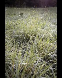 𝐍𝐨𝐧 𝐦𝐞 𝐧𝐞 𝐚𝐜𝐜𝐨𝐫𝐠𝐨 𝐬𝐮𝐛𝐢𝐭𝐨.Ma il corpo cambia ritmo prima della mente.La luce si allunga.L’aria è diversa.Il passo diventa più sciolto.Qui marzo non è una promessa.È una sensazione fisica.Non proponiamo programmi.Proponiamo condizioni.E spesso è tutto quello che serve.𝑺𝒆 𝒕𝒊 𝒊𝒎𝒎𝒂𝒈𝒊𝒏𝒊 𝒈𝒊𝒂̀ 𝒂 𝒄𝒂𝒎𝒎𝒊𝒏𝒂𝒓𝒆 𝒒𝒖𝒊, 𝒇𝒐𝒓𝒔𝒆 𝒆̀ 𝒖𝒏 𝒔𝒆𝒈𝒏𝒂𝒍𝒆.#MaisonDuTatà #MaisonDuTata #ValleDAosta #AostaValley #AnteySaintAndre#Tempolento #RitmiLenti #SlowLivingItaly #SlowTravelItaly #LussoDiscreto#MontagnaVera #MontagnaItaliana #CamminareInMontagna #RespiraLaMontagna#LuoghiDellAnima #Rigenerarsi #Respirare